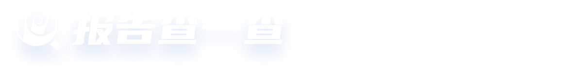 报告